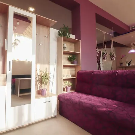 студио ариел 아파트 *