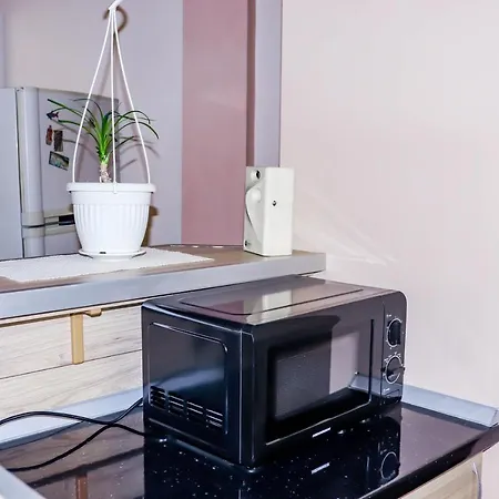 Apartment студио ариел