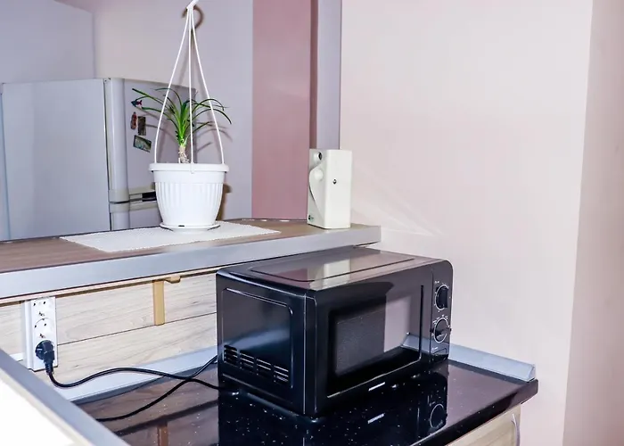 Apartment студио ариел