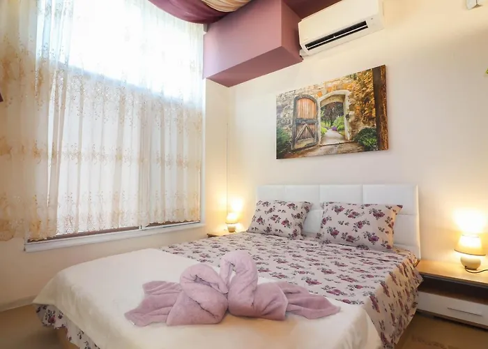 студио ариел * Warna